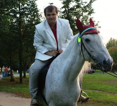 Принц на белом коне ... | Пикабу