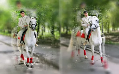ВСЕ ВИДЫ УСЛУГ В г. Якутске - - Она хочет принца на белом коне.⠀ - Сейчас  организуем👌🏻⠀ #😂😅⠀ #немногоюмора #шутка #прикол #юмор #позитив  #улыбнись #смех #будьнапозитиве #принц | Facebook