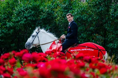 Принц на белом коне подарил хабаровчанкам цветы - МК Хабаровск