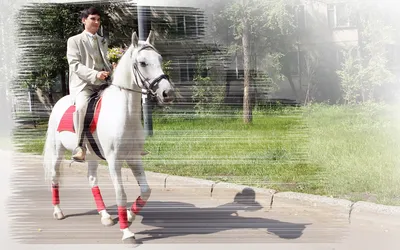 Фотографии лошадь воины принц на белом коне Фэнтези