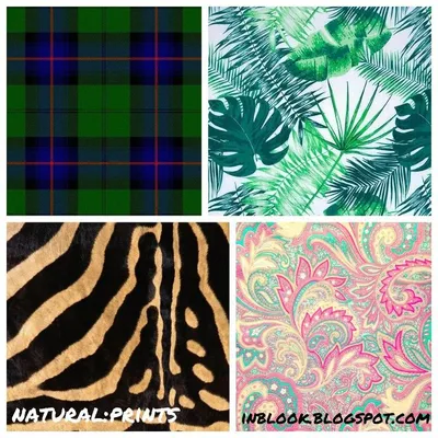 Принты: Ваши принты должны включать в себя повседневные варианты,  представляющие собой смягченную геометрию (шотландская … | Nature, Animal  print rug, Pure products