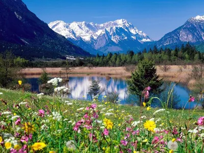Alpine Lakes Wilderness, штат Вашингтон, США / США :: страны :: фото :: горы  :: озеро :: пейзаж :: Природа (красивые фото природы: моря, озера, леса) /  смешные картинки и другие приколы: комиксы, гиф анимация, видео, лучший  интеллектуальный юмор.