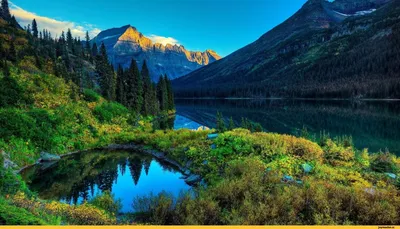 лес :: красивые картинки :: озеро :: горы :: Природа (красивые фото природы:  моря, озера, леса) / картинки, гифки, прикольные комиксы, интересные статьи  по теме.
