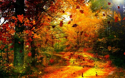 Красивый естественный осенний лес на фоне рассвета. идиллический золотой  солнечный свет, мирная природа, горы | Премиум Фото