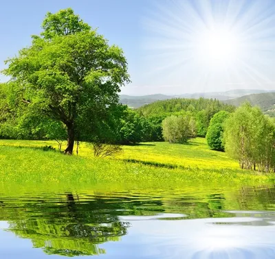 Природа лето солнечный день» — создано в Шедевруме