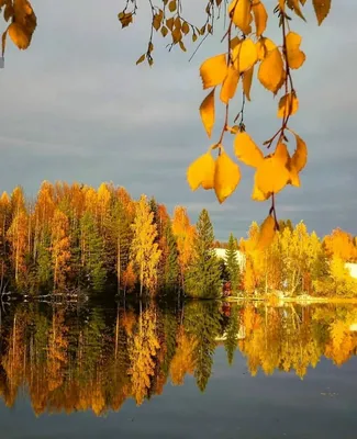 Природа, Осень - Красивые фото обои для рабочего стола комп. windows #7