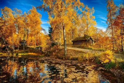 PERES live | Осенний пейзаж!!! #природа #осень #отдых | Дзен