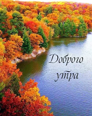 картинка сентябрь природа: 20 тыс изображений найдено в Яндекс.Картинках |  Рябина, Цветущие деревья, Природа