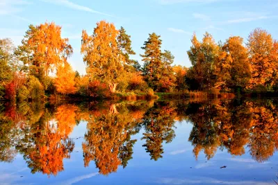 Жизнь природа поздняя осень, красиво…» — создано в Шедевруме