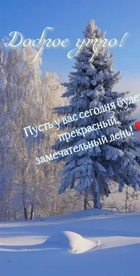 Доброе утро❤❤❤ | TikTok