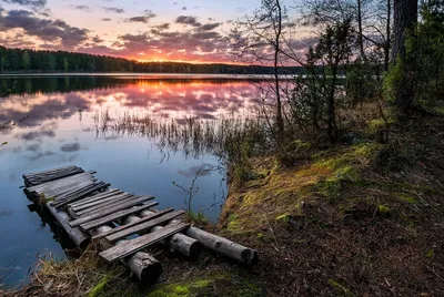 Природные чудеса Ленинградской области: Озера, леса и парки в окрестностях  Санкт-Петербурга - Imapress