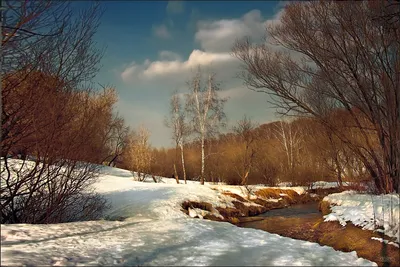 Природа в марте :: Сергей Цветков – Социальная сеть ФотоКто