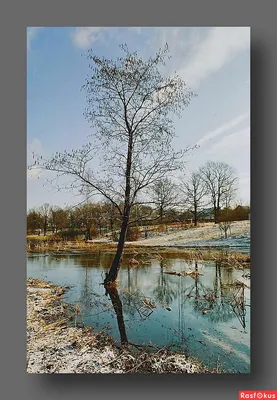 Картинки ранняя весна природа март (69 фото) » Картинки и статусы про  окружающий мир вокруг