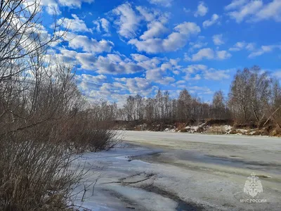 Природа На Горе Авиталь В Израиле В Марте Горчица Цветет — стоковые  фотографии и другие картинки Без людей - iStock