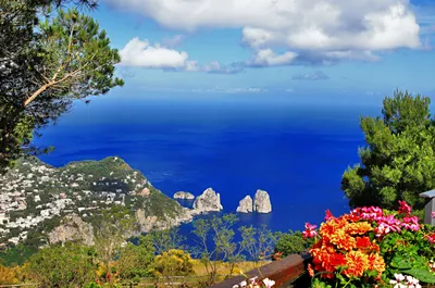 Обои Anacapri, Capri, Italy Природа Побережье, обои для рабочего стола,  фотографии anacapri, capri, italy, природа, побережье, анакапри, капри,  италия, море, цветы, деревья, скалы, панорама Обои для рабочего стола,  скачать обои картинки заставки