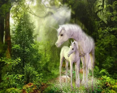 Обои для детской комнаты, обои на заказ, природа, зеленый лес, Белая  лошадь, высококачественный Шелковый материал, 3d обои, behang | AliExpress