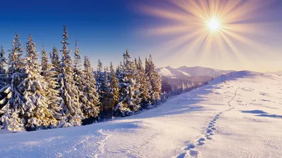 Картинки вода, горы, деревья, зима, красивые, небо, природа, снег,  широкоформатные - обои 1600x900, картинка №128888