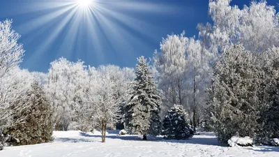 Обои Природа Зима, обои для рабочего стола, фотографии природа, зима,  сугробы, вершина, ёлки, небо, красиво, деревня, домики, тени, сказочно,  мороз, и, солнце, день, чудесный, склон, лес, ели, красота, лыжня, холмы,  тропинка, горы,