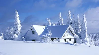 Обои солнце, снег, природа, лес, зима для рабочего стола #207234