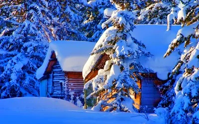 Обои зима, снег, дерево, природа, замораживание для iPhone 6S+/7+/8+  бесплатно, заставка 1080x1920 - скачать картинки и фото