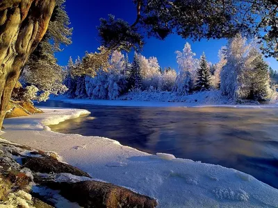 Природа зимы HD 1920×1200 – Обои на стол скачать бесплатно Зима