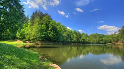 Природа, водопад фотообои на заказ | Обои на заказ любых размеров за один  день, Кишинев, Молдова