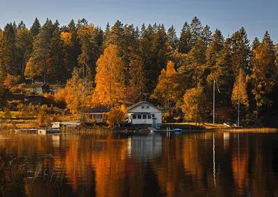 красивые картинки :: обои (большой размер по клику) :: Природа (красивые  фото природы: моря, озера, леса) / картинки, гифки, прикольные комиксы,  интересные статьи по теме.