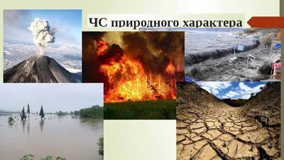 Тест от «ФедералПресс»: природные катастрофы в России | Москва |  ФедералПресс
