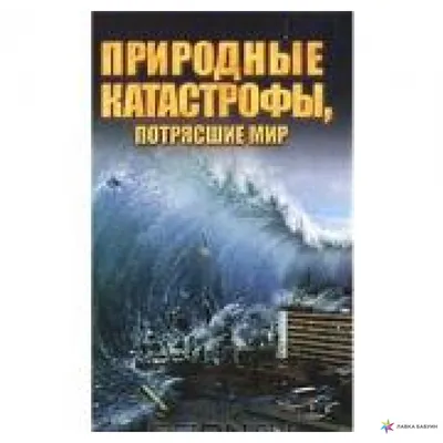 Недавние экологические катастрофы в России в 2021 году