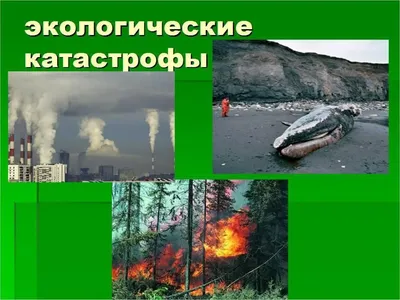 Природные Катаклизмы: последние новости на сегодня, самые свежие сведения |  45.ru - новости Кургана