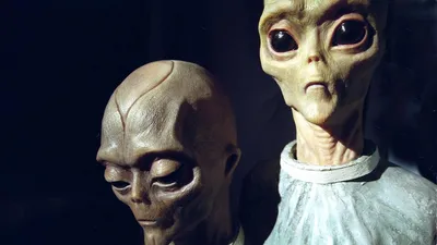 Хвостатые пришельцы (Фильм 2023) смотреть онлайн в хорошем качестве