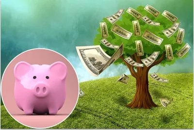 5 законов изобилия, чтобы привлечь удачу и притянуть к себе деньги и  богатство | newsli.ru | Закон, Деньги, Финансовая грамотность