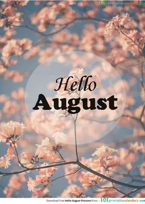 Привет август - милые и нежные открытки приветствия