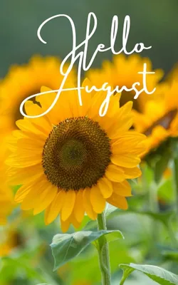 Hello August Pictures | August pictures, Hello august, Hello august images