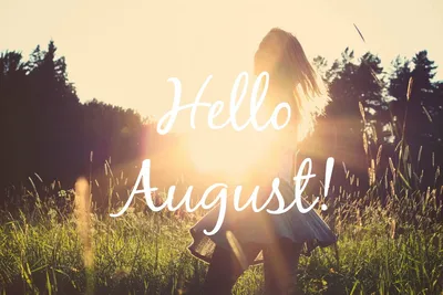 Hello August by Danielle Chandler on Dribbble