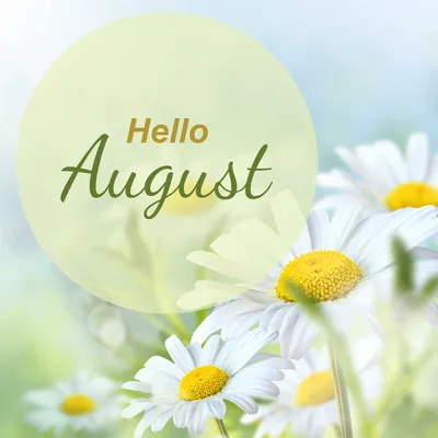 Hello August. Beautiful Flower Composition. Frame Made of Dry Flowers on  White Background. Flat Lay Stock Image - Image of purple, flower: 184207333