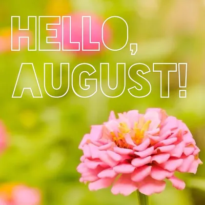 Beautiful Hello August Images: Welcome the New Month