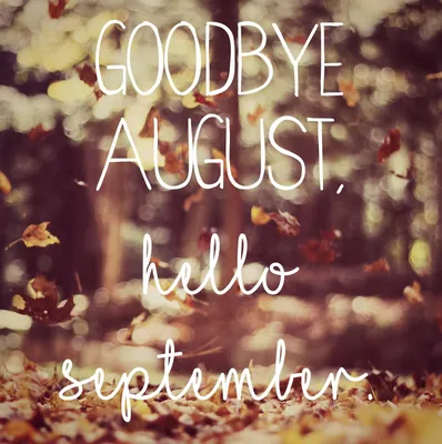 Hello August Banner Background, Banner, Design, Flower Background Image And  Wallpaper for Free Download