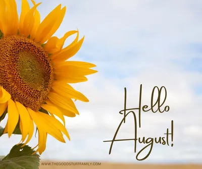 Hello August! – booksthatmakeme
