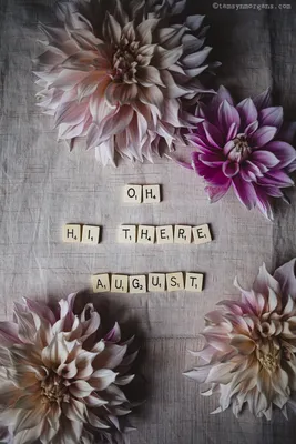 Hello August typography text with flowers on wooden background Stock Photo  - Alamy