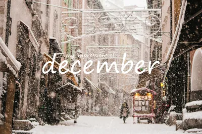 Привет декабрь! Здравствствуй зимушка, зима!!!🌨 Снега хотим, легкого,  мягкого и пушистого!❄Хотим в снежки играть, снежную бабу лепить,☃️… |  Instagram