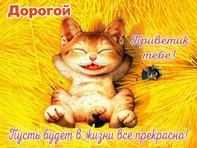 Дорогой! Привет! Красивая открытка для Дорогого! Гиф с сердечками.  Воздушные шарики, сердечки.