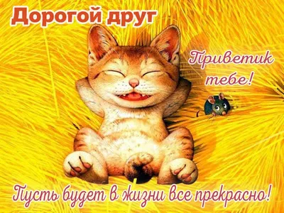 ПрИвЕт ДрУзЬя - ПрИвЕт ДрУзЬя added a new photo.