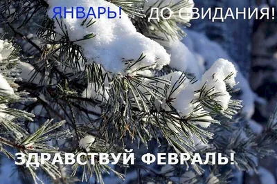 Привет Февраль ❄️ Доброе утро ☕ | Утренние сообщения, Открытки, Сообщения