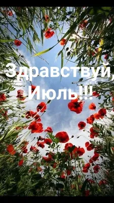 Красивые картинки Июль Привет (44 открытки)