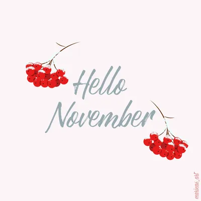 Привет ноябрь-последний месяц осени - Ноябрьский приветик! картинки ноября  красивые нежные - С первым днем ноября! Здравств… | Вдохновляющие фразы,  Открытки, Цитаты