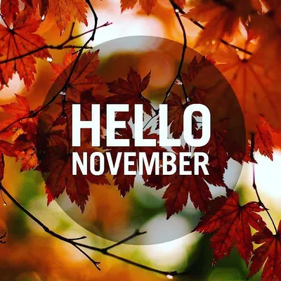 Hello November Привет Ноябрь #hellonovember #november #tee #teelux |  Welcome november, Hello november, November images
