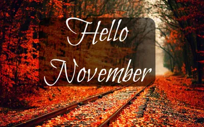 Привет ноябрь-последний месяц осени - Ноябрьский приветик! картинки ноября  красивые нежные - С первым днем ноября!… | Проселочные дороги, Открытки,  Осенние картинки