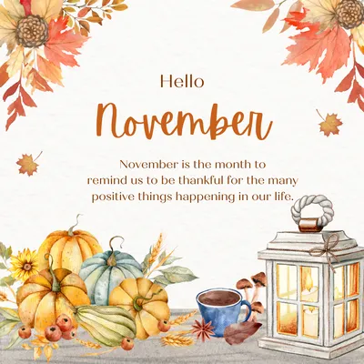 November news and promotions at House of Beauty - House of Beauty Chippenham