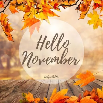 Friday Favorites, Hello November! | Home On Oak